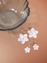Image 4 of Petites boucles d'Oreilles POSIE