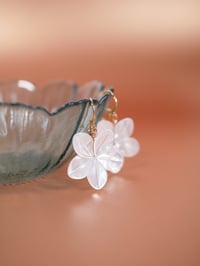 Image 2 of Grandes Boucles d'Oreilles POSIE