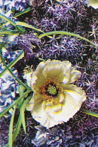 Image 2 of Node "Spring Totem"