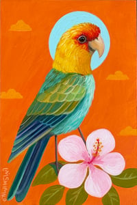 Carolina Parakeet Blue Halo II