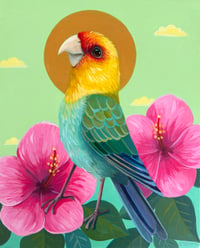 Carolina Parakeet Gold Halo