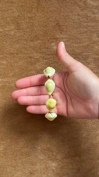 Image 3 of Cowrie cuff
