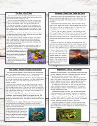 Image 2 of Personalized 3rd Grade Workbook (Free Shipping)