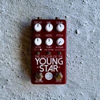 Copy of The Colour of the Young Star Pitch Warping Reverb