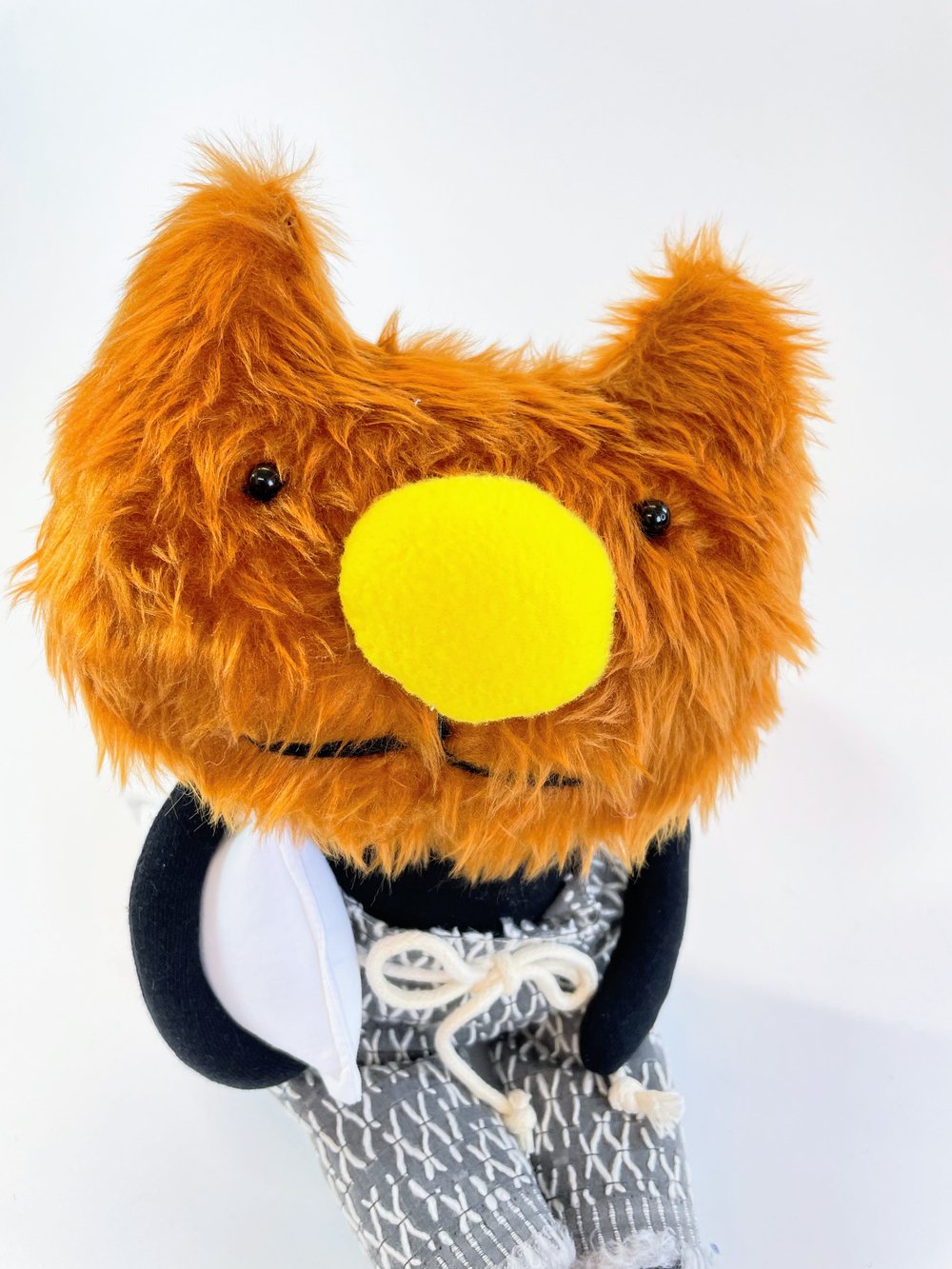 Image of Snooze the sleepy cat