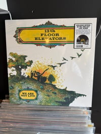 Image 1 of 13TH FLOOR ELEVATORS We Are Not Live