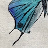 Image 2 of Pseudolycaena Damo - Original Oil Painting, 4” x 4”