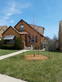 Image 2 of Tree and Garden Plant Installation