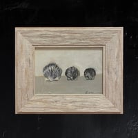 Image 1 of Triple Shell 3 - Original Oil Painting, 7” x 5”
