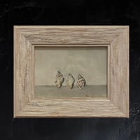 Image 1 of Triple Shell 2 - Original Oil Painting, 7” x 5”