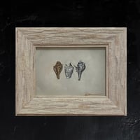 Image 1 of Triple Shell 1 - Original Oil Painting, 7” x 5”