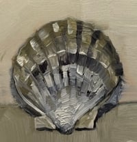 Image 3 of Single Shell 1 - Original Oil Painting, 7” x 5”