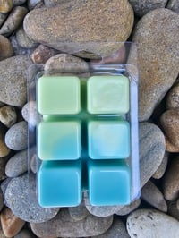 Image 4 of Sea Dew - A Rockytop Wax Works exclusive custom houseblend fragrance 
