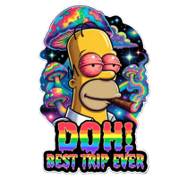 🌈 DOH! BEST TRIP EVER – 3" Premium Die Cut Sticker