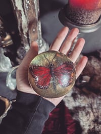 Image 1 of Butterfly crystal ball