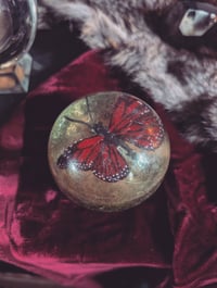 Image 2 of Butterfly crystal ball