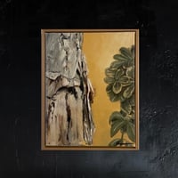 Image 1 of Birch - Original Oil Painting, 11” x 14”