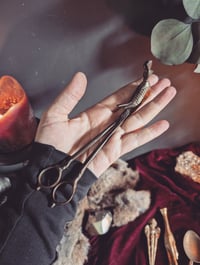 Image 1 of Peacock candle snuffer 