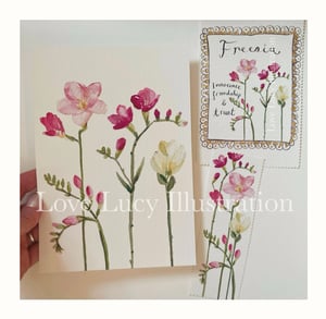 Image of The Freesia Pack