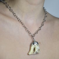 Image 2 of Fossil Necklace