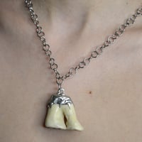 Image 4 of Fossil Necklace