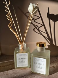Image 2 of Reed Diffusers