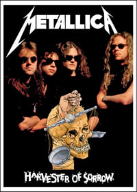Metallica - Harvester Of Sorrow