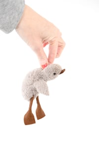 Image 1 of little brown duck