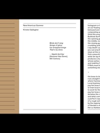Image 2 of NEW AMERICAN SUMMER, Kristen Gallagher