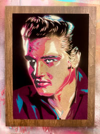 Velvet Elvis pink