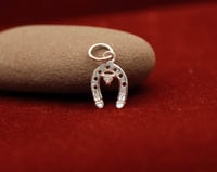 Image 1 of Wish Me Luck Charm