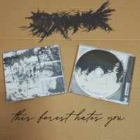 sykamore - this forest hates you.