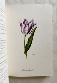 Image 7 of Tulipomania a vintage King Penguin Book