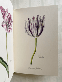 Image 8 of Tulipomania a vintage King Penguin Book