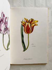 Image 9 of Tulipomania a vintage King Penguin Book