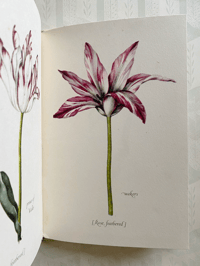 Image 10 of Tulipomania a vintage King Penguin Book