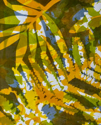 Image 4 of Layered Botanical Gelliprinting on 29/08/26 at Clevedon Craft Centre