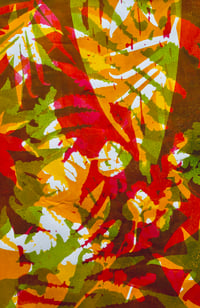 Image 2 of Layered Botanical Gelliprinting on 29/08/26 at Clevedon Craft Centre