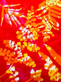 Image 3 of Layered Botanical Gelliprinting on 29/08/26 at Clevedon Craft Centre