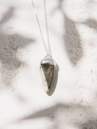 Image 1 of Muriola necklace