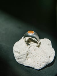 Image 1 of Galea ring