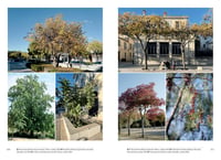 Image 18 of ETRE UN ARBRE DANS LA VILLE - Véronique MURE 