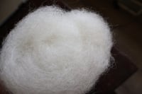 Image 4 of Vieled Lady Mini Batt- Fall 2025