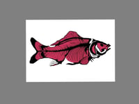 Image 1 of Carp - Red fill with black bones