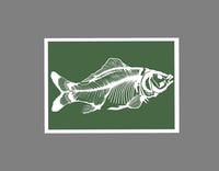 Image 1 of Carp - Green background with white bones