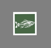 Image 1 of Carp Mini - Green