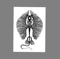 Image 1 of Stingray