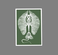 Image 1 of Stingray - Green