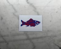 Image 2 of Carp - Red fill with blue bones