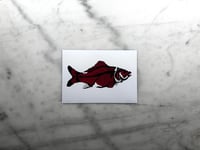 Image 2 of Carp - Red fill with black bones